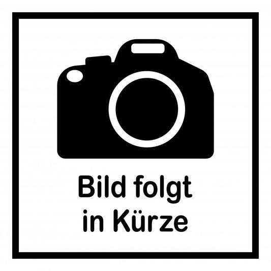 Brontosaurus Schlüsselanhänger